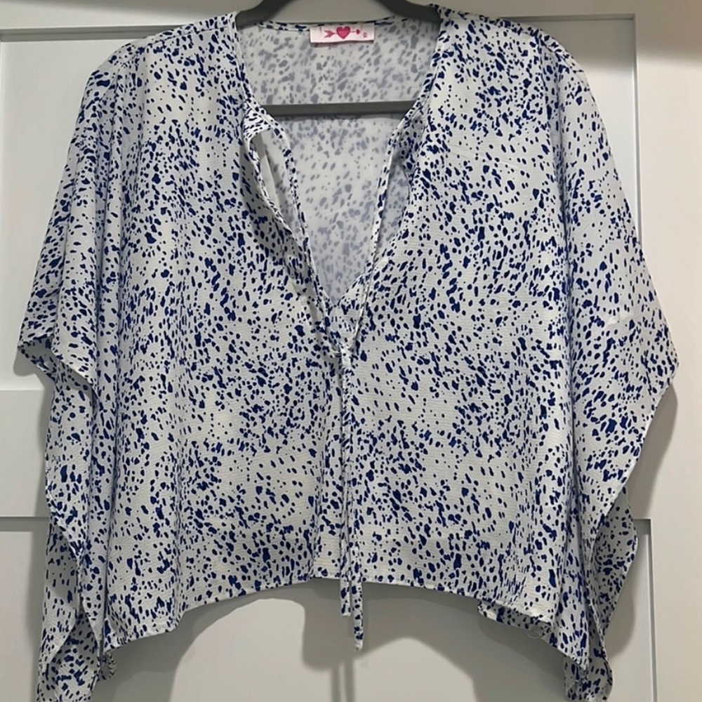 Buddy Love blue and white top